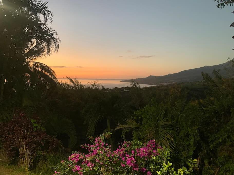 Bungalow Avec Vue Dans Lieu Calme Le Carbet Dış mekan fotoğraf