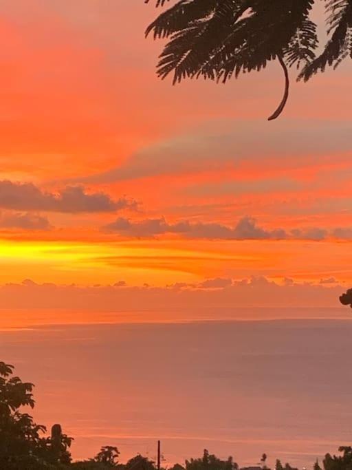 Bungalow Avec Vue Dans Lieu Calme Le Carbet Dış mekan fotoğraf